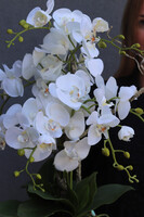 Geolia, sztuczny storczyk w doniczce