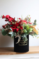 Black Velvet, flowerbox bożonarodzeniowy z orchideą