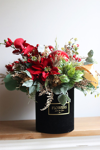 Black Velvet, flowerbox bożonarodzeniowy z orchideą