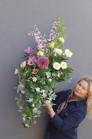 Spring Saute, hortensje we wkładzie do twojej donicy