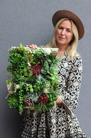 efektowna kwietna rama jednostronna, Sukulenty Revollito