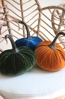 Dynia Veluria, dekoracyjna dynia pluszowa