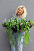 Black Laos Sukulenty, zielona kompozycja w czarnej donicy