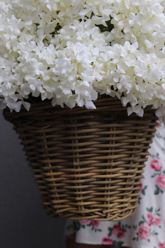 bogaty kosz z hortensjami, Giganti White Provance