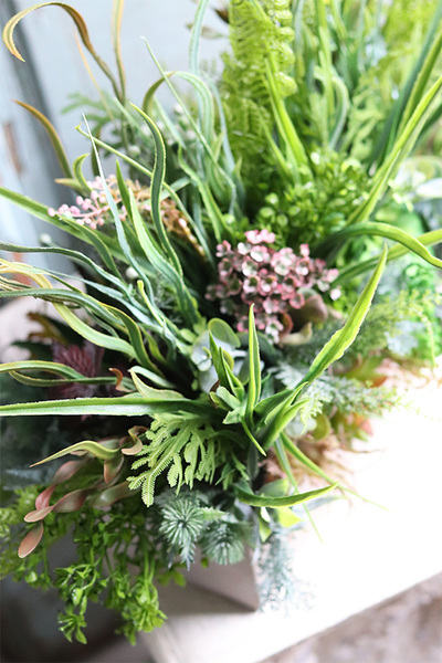 Sukulenty Tavina 2 w betonowej donicy, wys.30cm