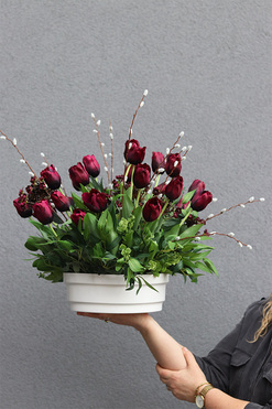 Tulipaneo Bordo Saute, dekoracja nagrobna do Twojej donicy, wys.47cm