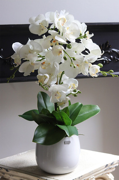 Neriua, biały sztuczny storczyk, wys.51cm 