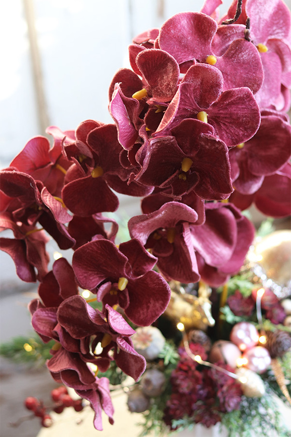 dekoracja świąteczna ze storczykiem, Velurro Pudrovy, wys.61cm 