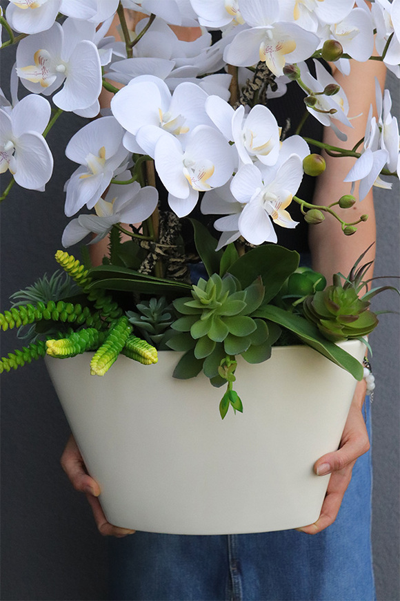 Bielise, sztuczny storczyk w wąskiej donicy