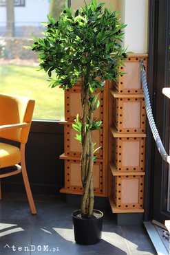 OD RĘKI Drzewko Oliwne, sztuczna roślina w doniczce, wys.150cm