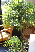 Fikus Deluxe Gold, sztuczna roślina w donicy, wys.140cm 