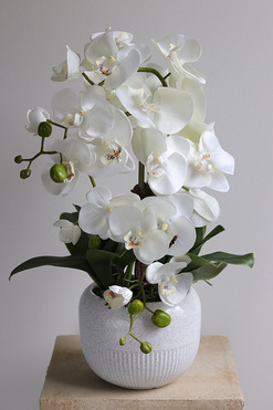 Bielleni, stylowy storczyk w doniczce ze wzorem, wys.55cm