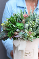 kremowy welurowy flowerbox z sukulentami, Zielona Przystań