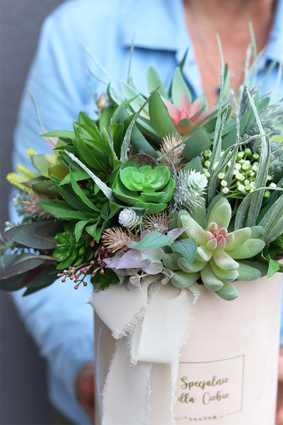 kremowy welurowy flowerbox z sukulentami, Zielona Przystań