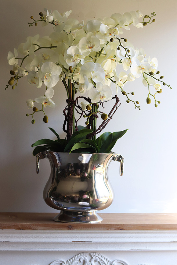 Eveline Elegance, sztuczny storczyk w pucharze