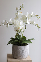 Modern Meadow, stylowy storczyk w doniczce ze wzorem