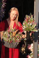 Wrzosy Volcan Angel, komplet dekoracji nagrobnych