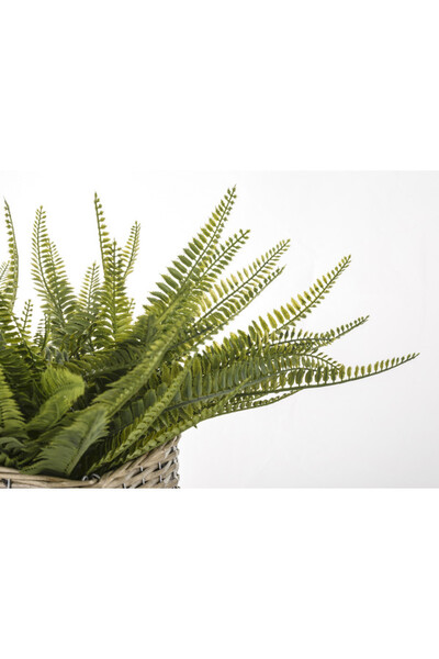 Paprotka, sztuczna roślina w ozdobnej osłonce, wym.45x63x63cm