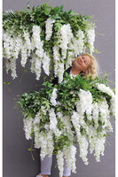 elegancka girlanda z białymi kwiatami, Wisterianna Premium