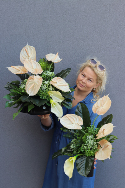 Anturium Cappucino, kompozycja nagrobna w naczyniu