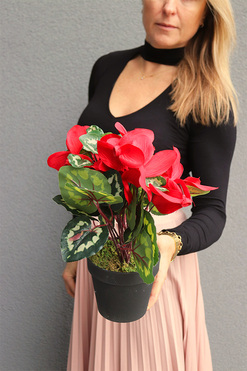 Cyklamen sztuczny w doniczce, czerwony, wys.35cm 