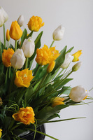 Tulipanowy Sen Spring, komplet dekoracji nagrobnych