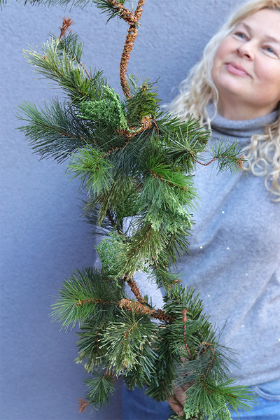 Zielona Sosna, zielona girlanda zimowa