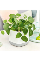 Yula, doniczka z nawadnianiem tendom.pl