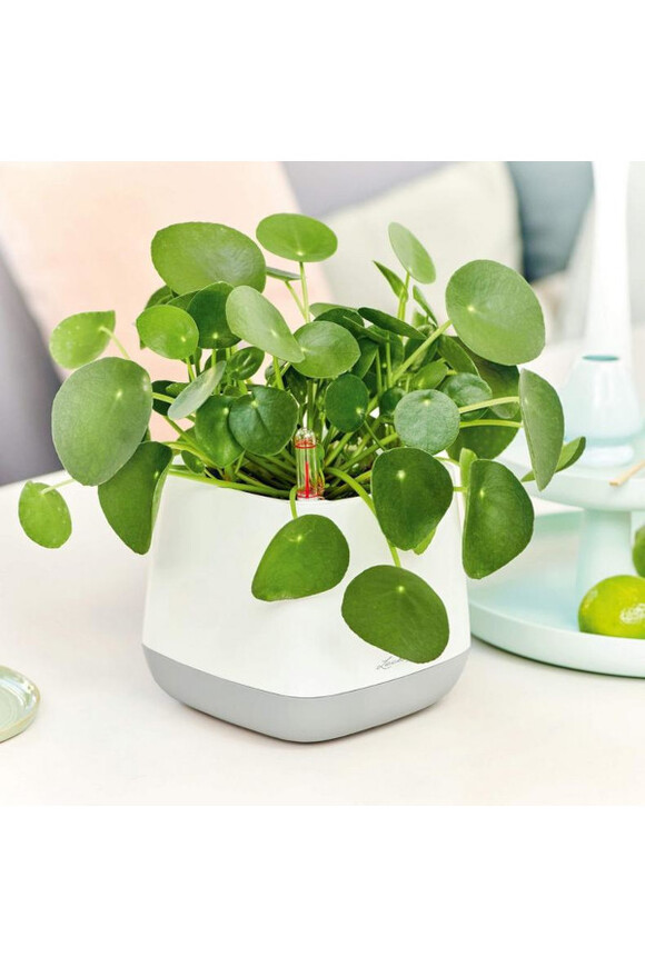 Yula, doniczka z nawadnianiem tendom.pl