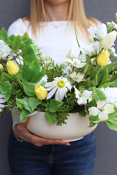 Hilltonia Lenera, kompozycja wiosenna w misie