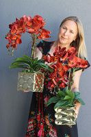 miedziany storczyk w złotej donicy, Bedolia Red, wys.53cm