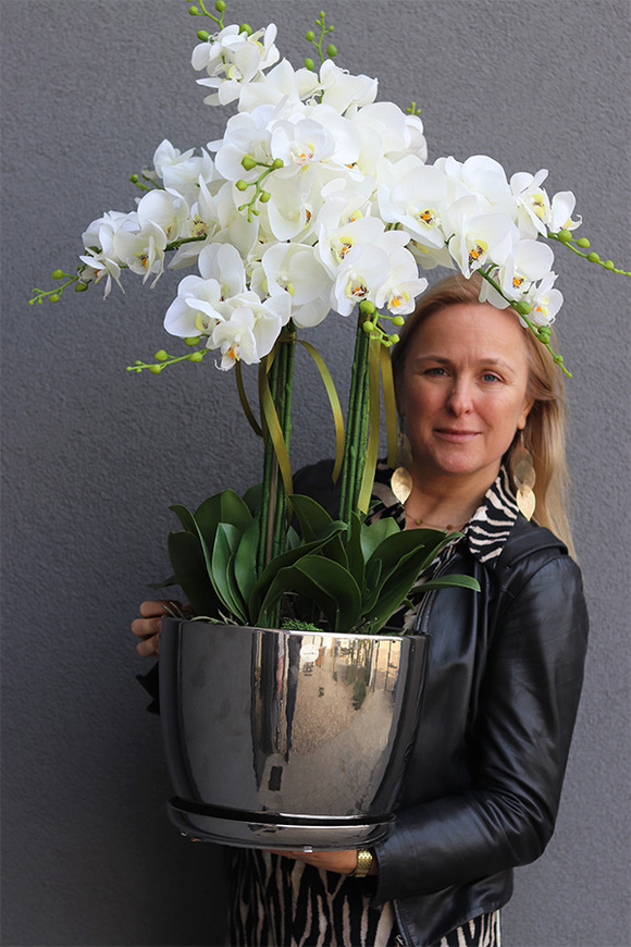 Vaselite Silver Lucky, gumowy storczyk w lustrzanej donicy