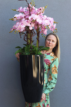 Grande Fiberglass Black, pudrowy storczyk w wysokiej czarnej donicy, wys.125cm