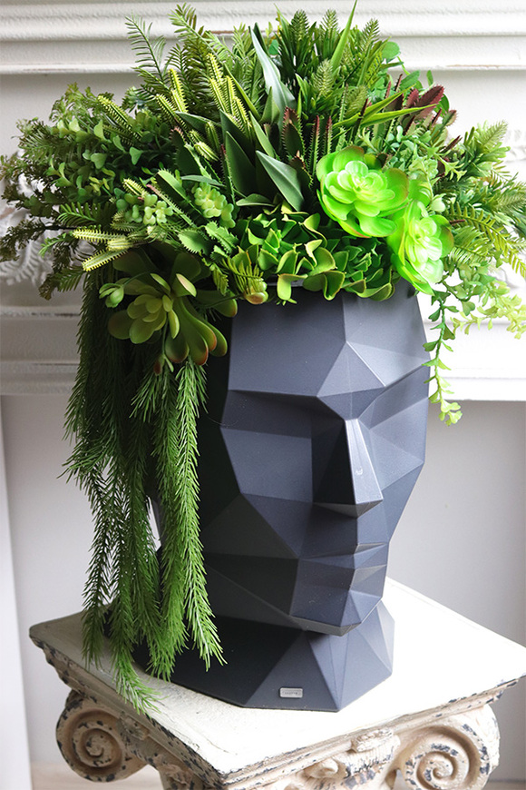 Adonis Head, nowoczesna dekoracja zielona w głowie