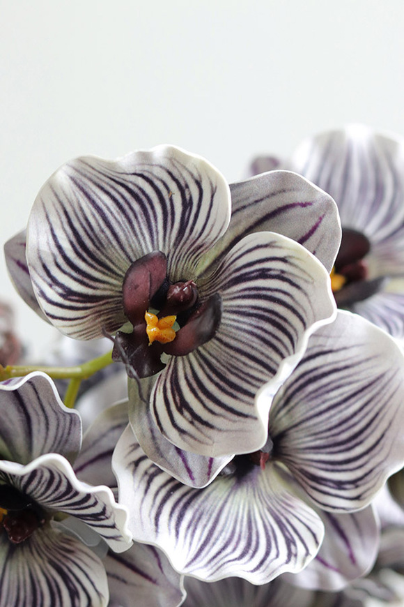 Eveline Belia, fioletowy sztuczny storczyk w zielonej donicy