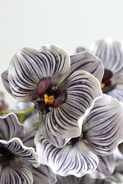 Eveline Belia, fioletowy sztuczny storczyk w zielonej donicy