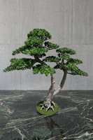 Bonsai, sztuczna roślina na podstawie