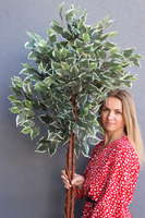  Fikus Benjamin Calico, sztuczna roślina w doniczce