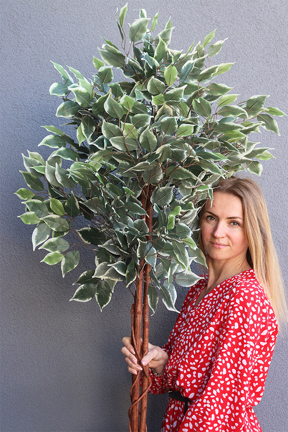  Fikus Benjamin Calico, sztuczna roślina w doniczce