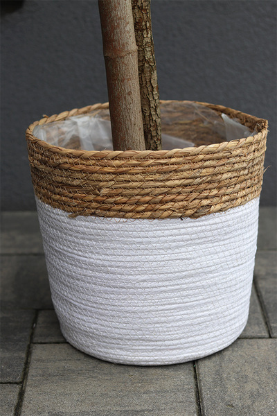 Drzewko Oliwne Basket 2, sztuczna roślina w koszu