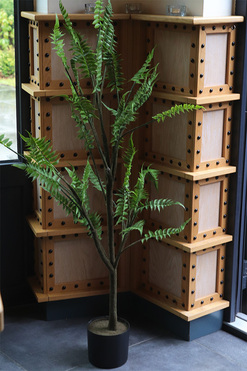 OD RĘKI Paproć skórzasta, sztuczne drzewko w osłonce, wys.130cm