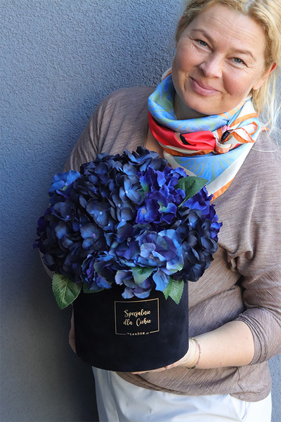 Navy Hydrangea, flowerbox niebieskie hortensje