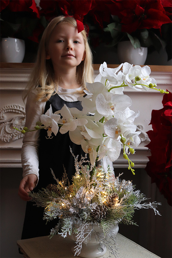 Frozen Orchid, elegancki storczyk zimowy w pucharze