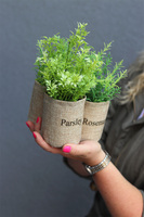 Herbs, sztuczne zioła w jucie