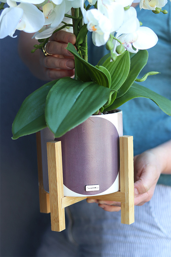 Ambra, sztuczny storczyk w donicy na stojaku