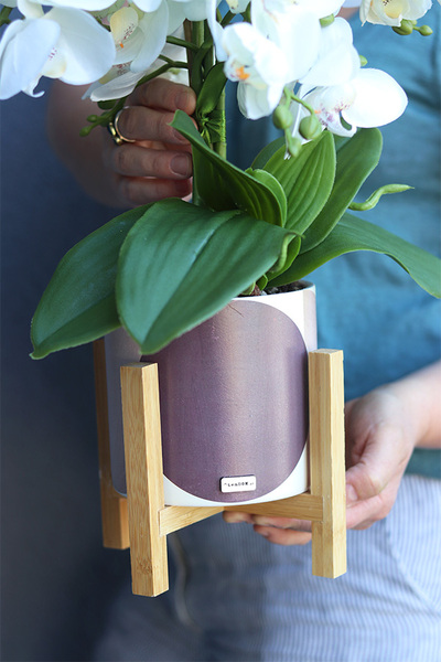 Ambra, sztuczny storczyk w donicy na stojaku