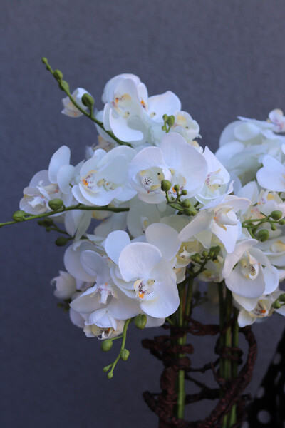 Cremina, sztuczny storczyk w ozdobnej donicy