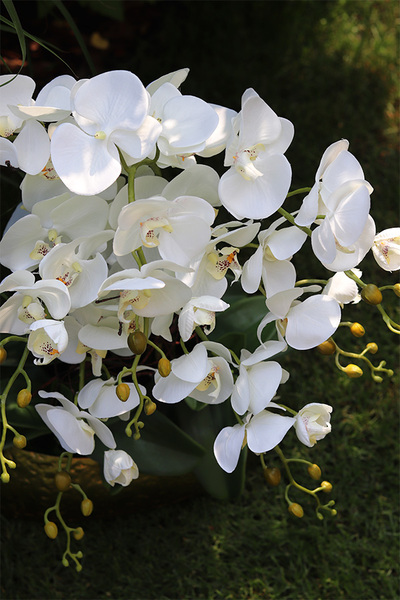 Deluxe Belldani B, sztuczny storczyk w złotej donicy, wys.58cm