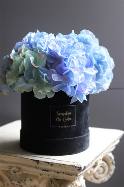 Blueta Mojito, flowerbox niebieskie hortensje, wym.27x31cm 