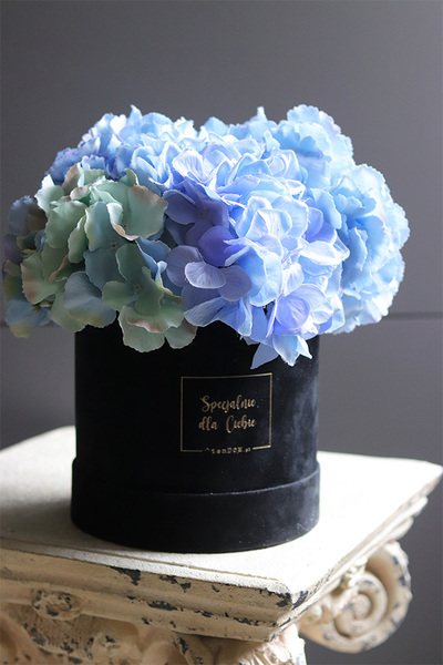 Blueta Mojito, flowerbox niebieskie hortensje